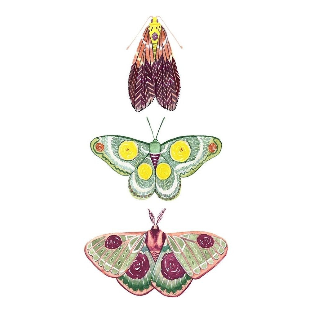 Moth Fairies I Poster Print - Grace Popp-VARPDX133064D Image 1