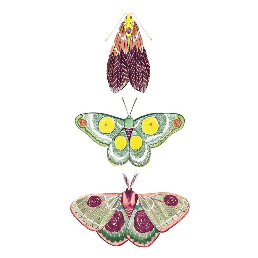 Moth Fairies I Poster Print - Grace Popp-VARPDX133064D Image 1