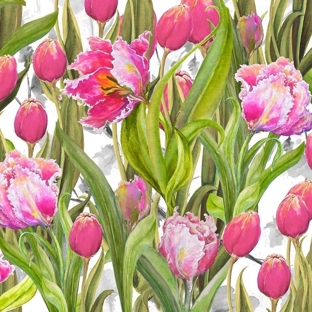 Tulip Symphony I Poster Print by Diannart-VARPDX13309 Image 1