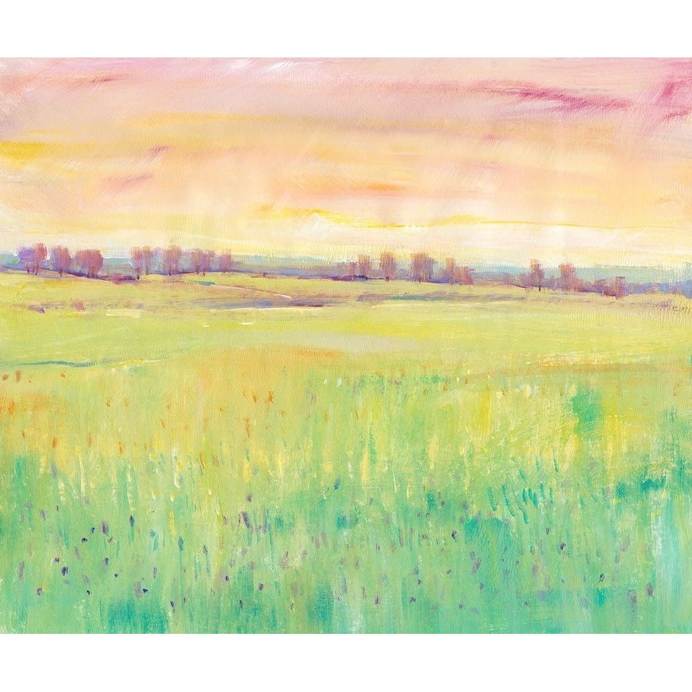 Spring Pasture I Poster Print - Tim OToole-VARPDX133097Z Image 1