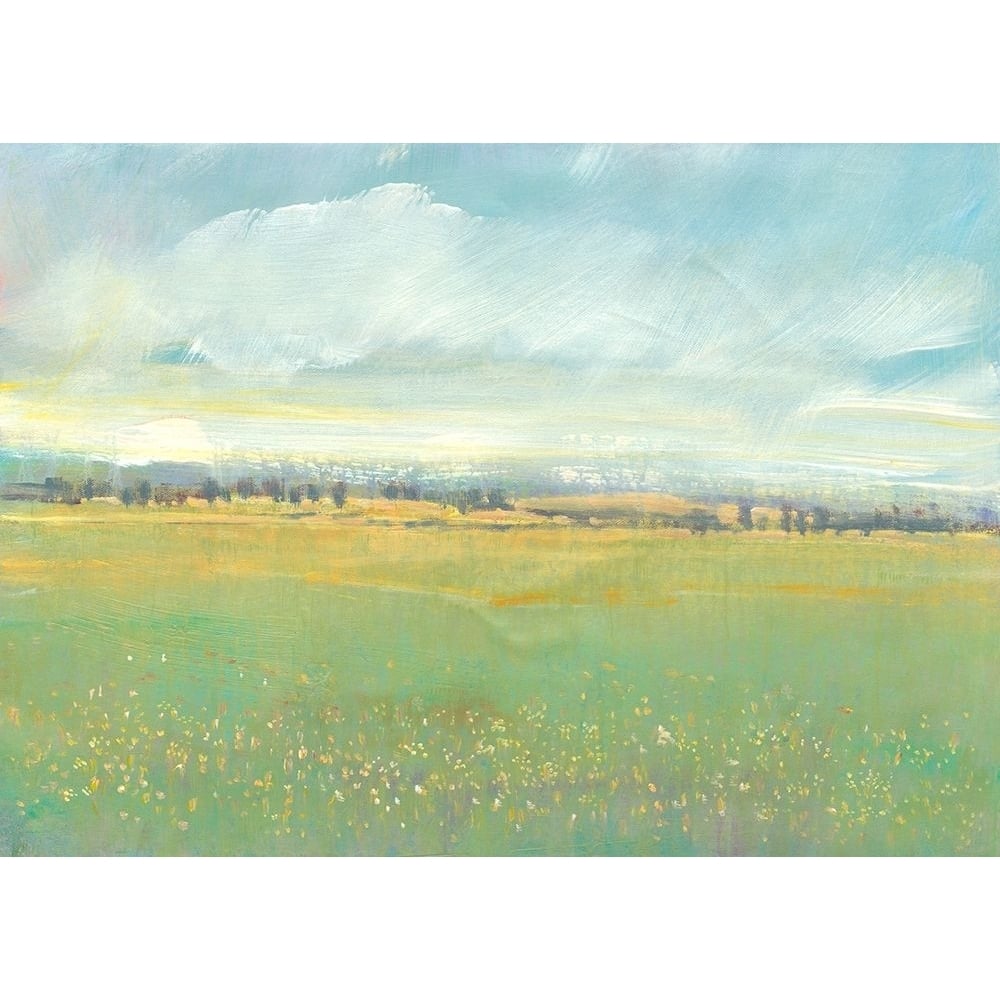 Soft Meadow Light II Poster Print - Tim OToole-VARPDX133104FN Image 1