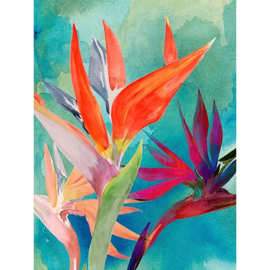 Vivid Birds of Paradise I Poster Print - Jennifer Paxton Parker-VARPDX133313GG Image 1