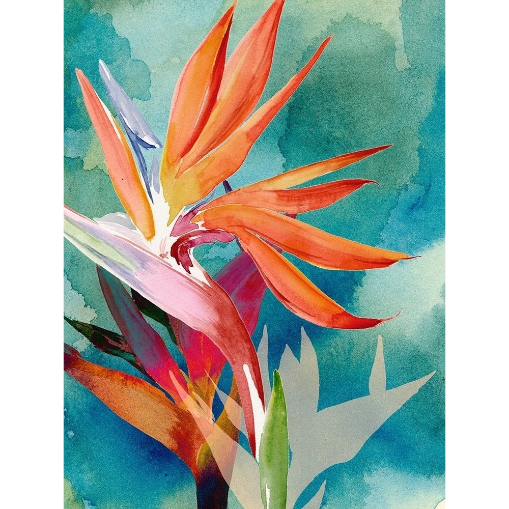 Vivid Birds of Paradise II Poster Print - Jennifer Paxton Parker-VARPDX133314GG Image 1