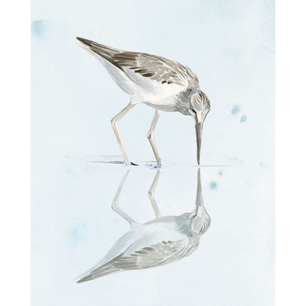 Sandpiper Reflections I Poster Print - Jennifer Paxton Parker-VARPDX133353Z Image 1