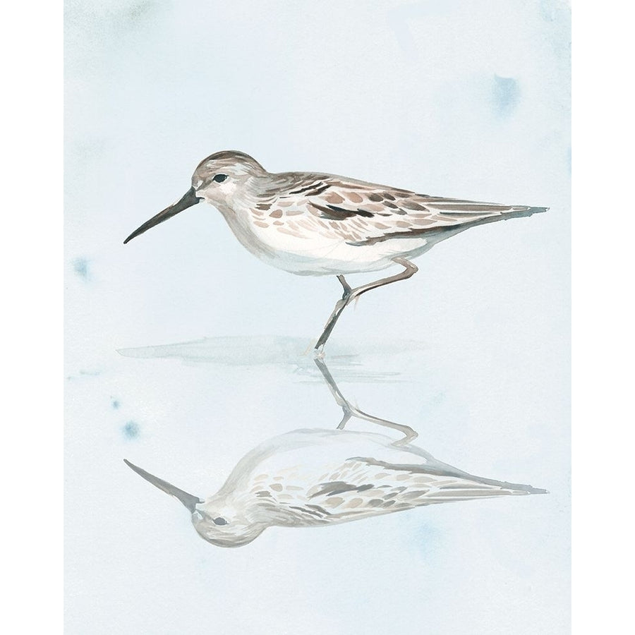 Sandpiper Reflections II Poster Print - Jennifer Paxton Parker-VARPDX133354Z Image 1