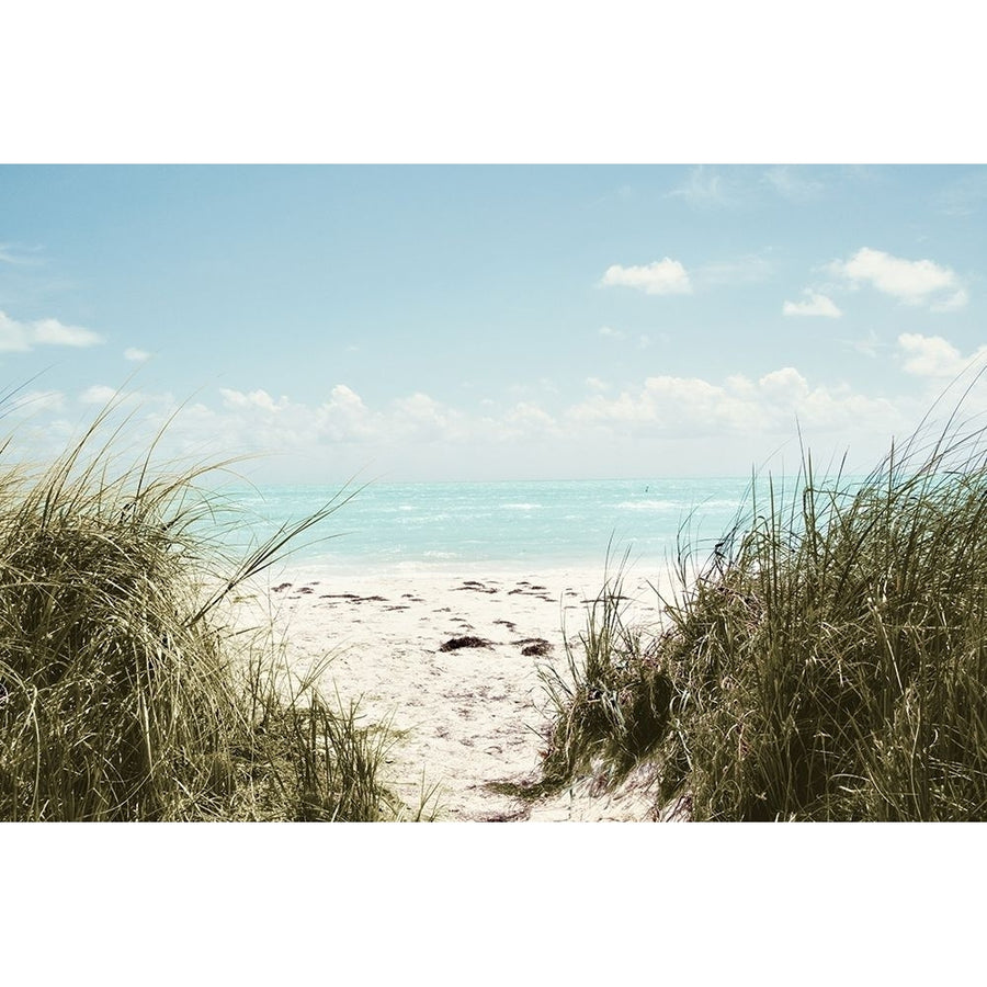 Sunny Days Poster Print by Debbie ODell-VARPDX13363F Image 1