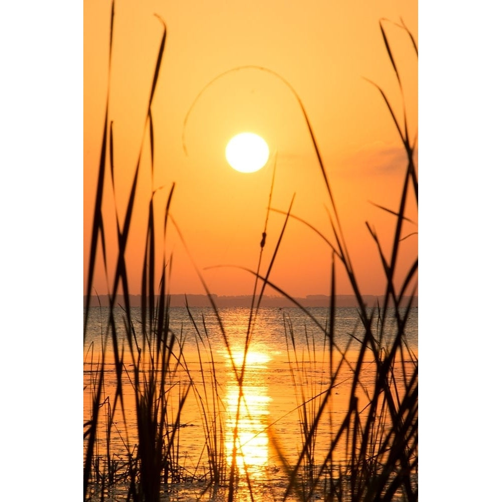 Sunset on the Lake I Poster Print by Debbie ODell-VARPDX13363 Image 2