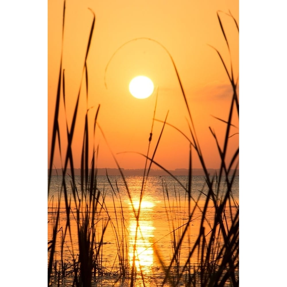 Sunset on the Lake I Poster Print by Debbie ODell-VARPDX13363 Image 1