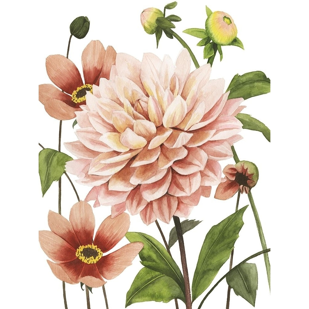 Dahlia Spell I Poster Print - Grace Popp-VARPDX133831Z Image 1