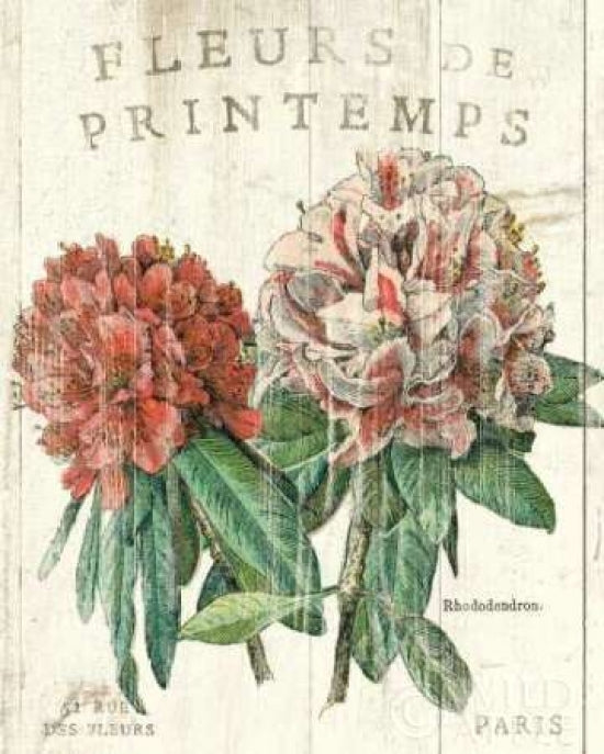 Fleur de Printemps Poster Print by Sue Schlabach-VARPDX13397 Image 1