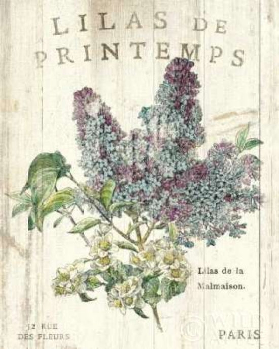 Lilas de Printemps Poster Print by Sue Schlabach-VARPDX13396 Image 1