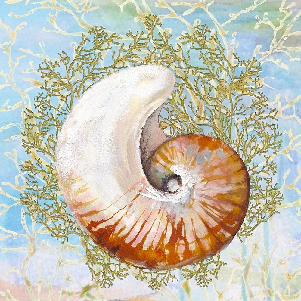 Shell Medley III Poster Print by Diannart-VARPDX13399A Image 1