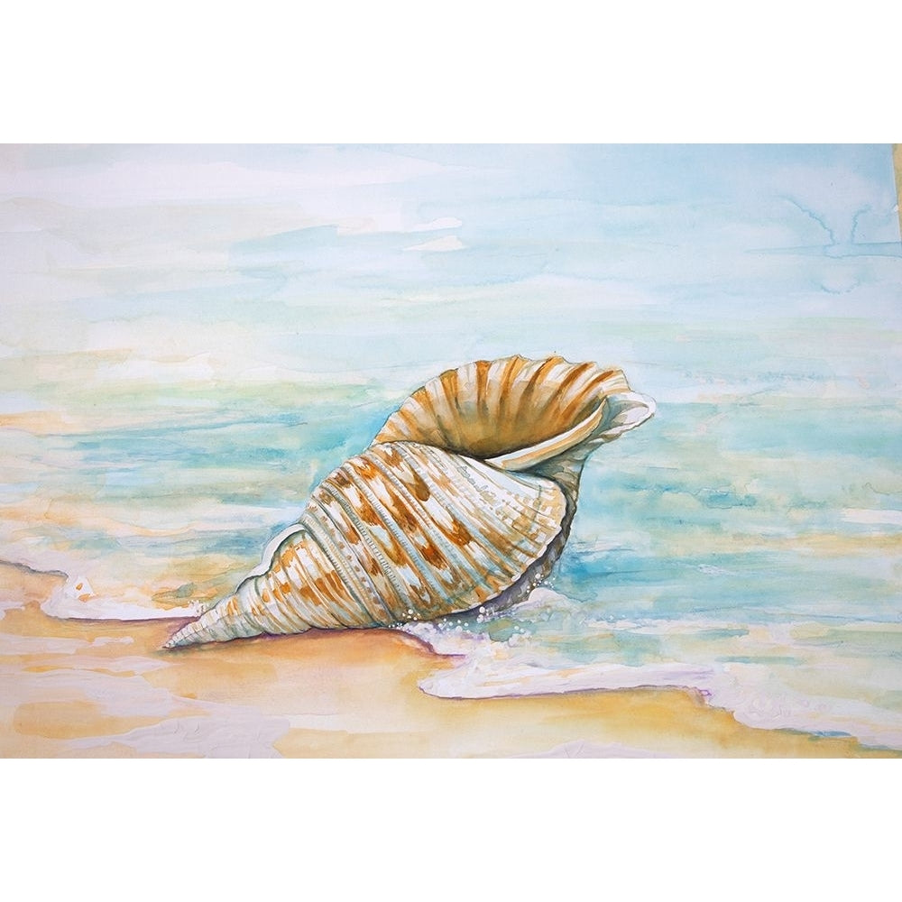 Queen Conch Poster Print - Diannart-VARPDX13399AB Image 1