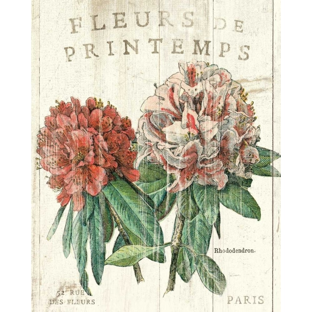 Fleur de Printemps Poster Print by Sue Schlabach-VARPDX13397 Image 2