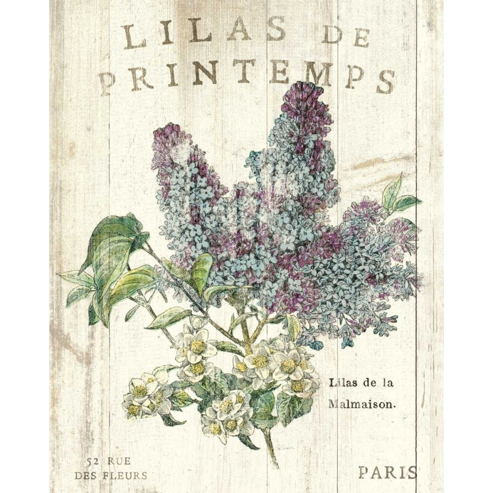 Lilas de Printemps Poster Print by Sue Schlabach-VARPDX13396 Image 2