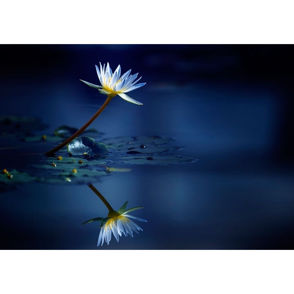 Reflection Poster Print - Takashi Suzuki-VARPDX1343595 Image 1