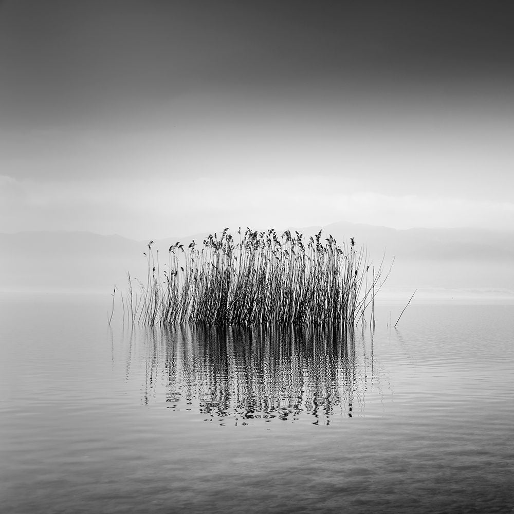 Black And White Silence Poster Print - George Digalakis-VARPDX1344663 Image 1