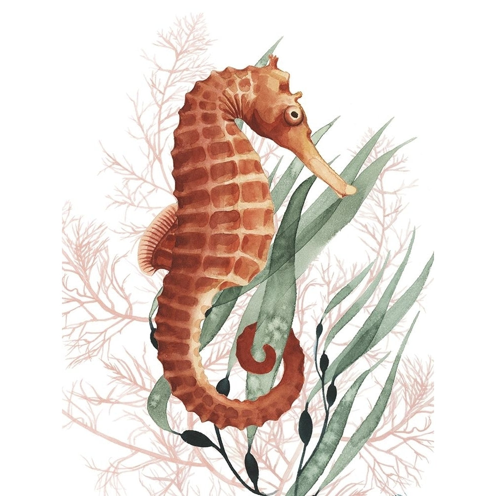 Seahorse Treasures I Poster Print - Grace Popp-VARPDX134881D Image 1