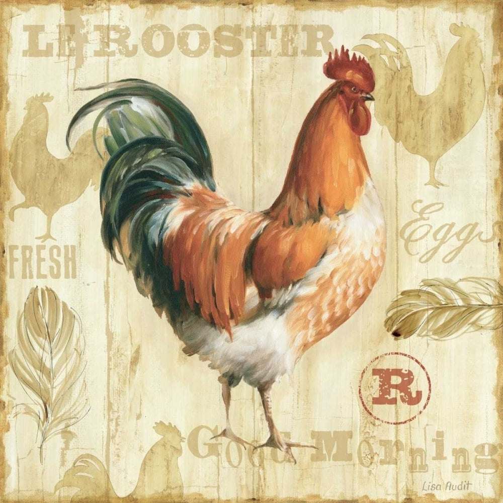 Joli Rooster IC Poster Print by Lisa Audit-VARPDX1350 Image 2