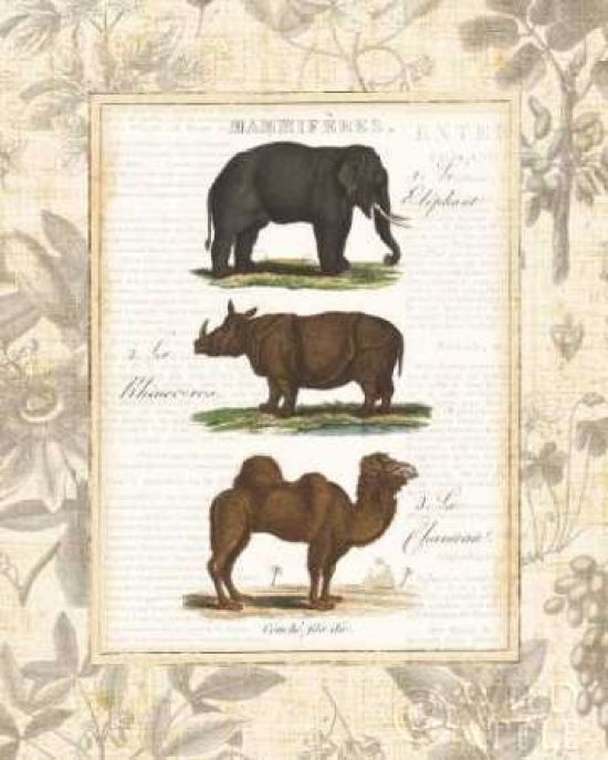 African Animals II Poster Print by Wild Apple Portfolio-VARPDX13529 Image 1