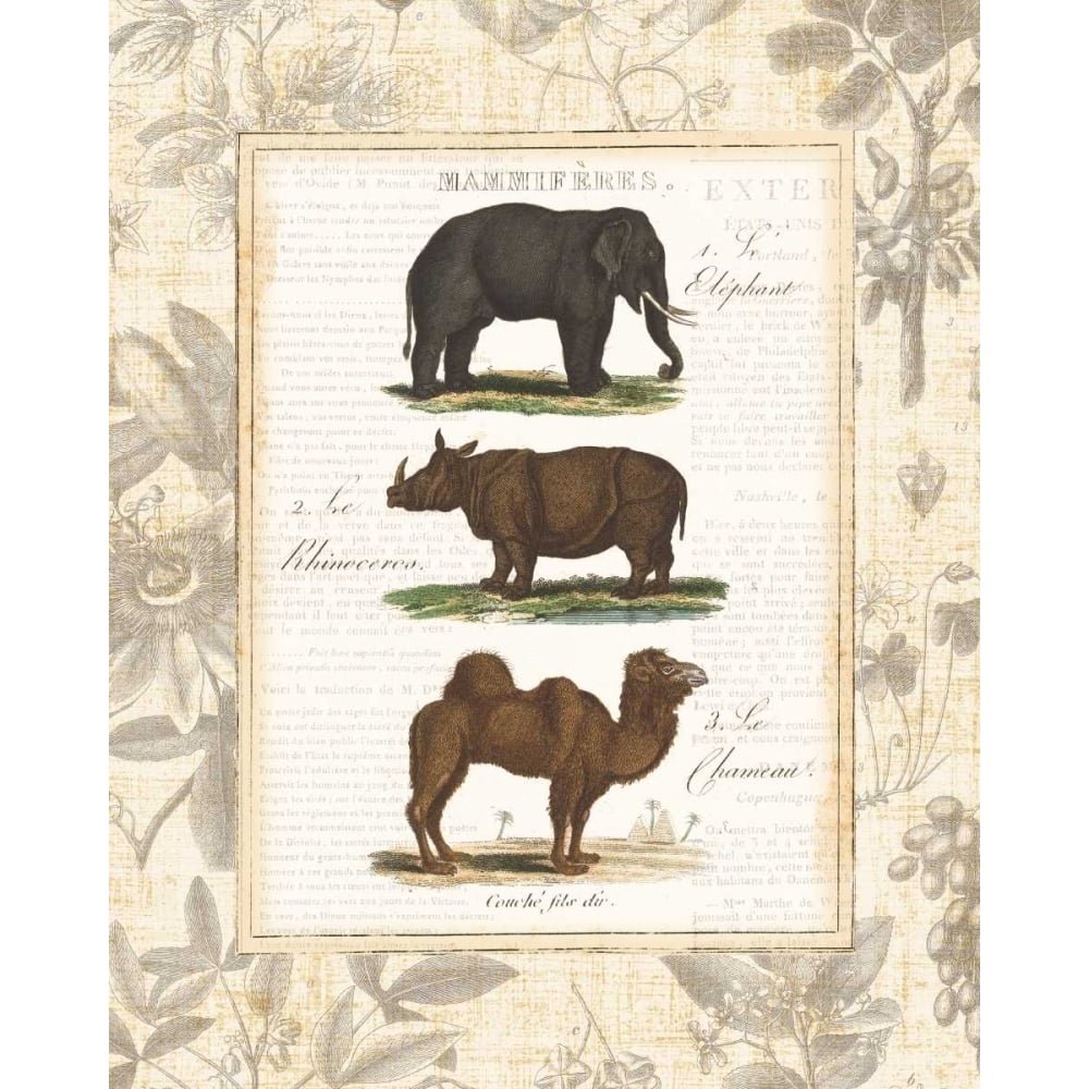 African Animals II Poster Print by Wild Apple Portfolio-VARPDX13529 Image 2