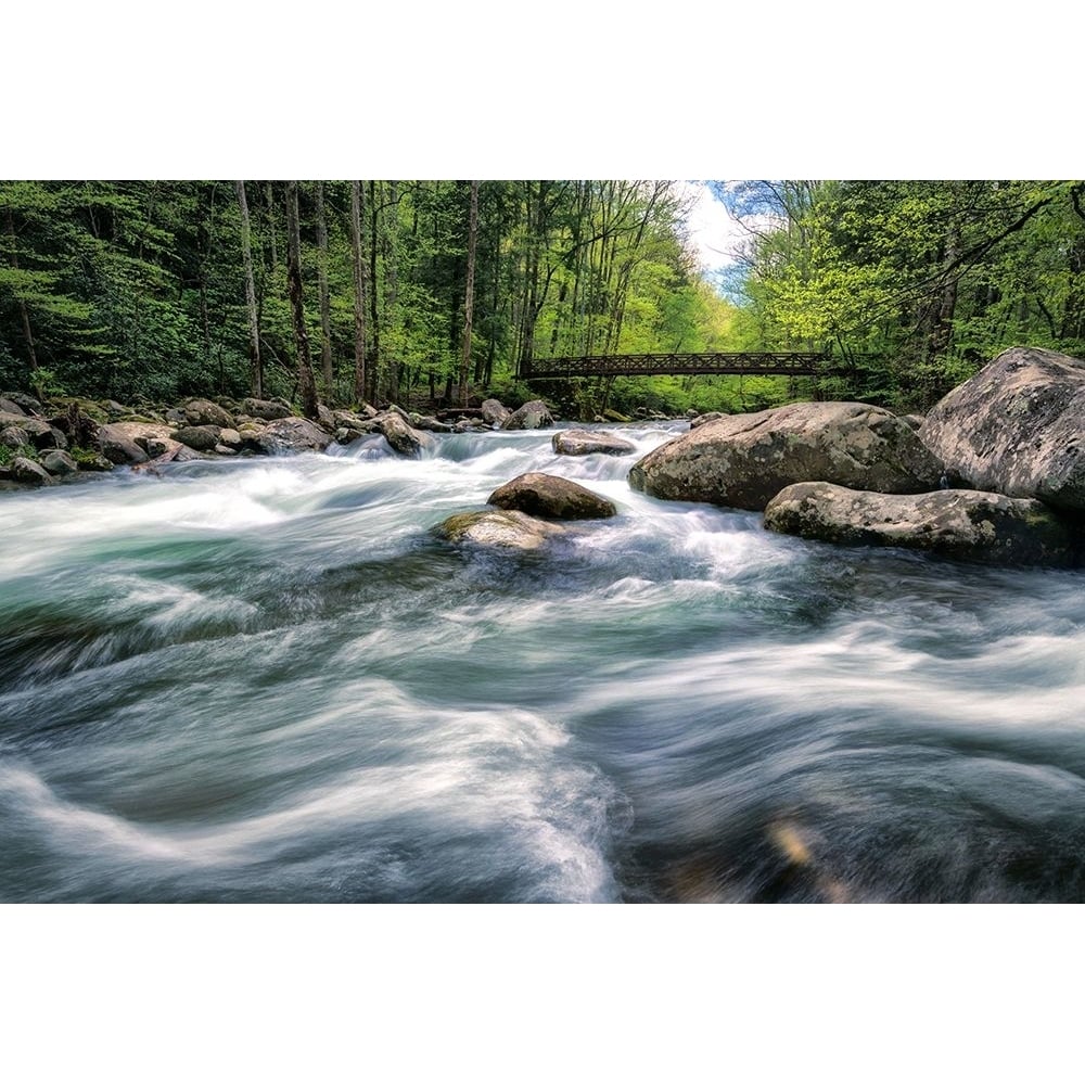 Rocky River Stream Poster Print - Andy Amos-VARPDX13531CH Image 1