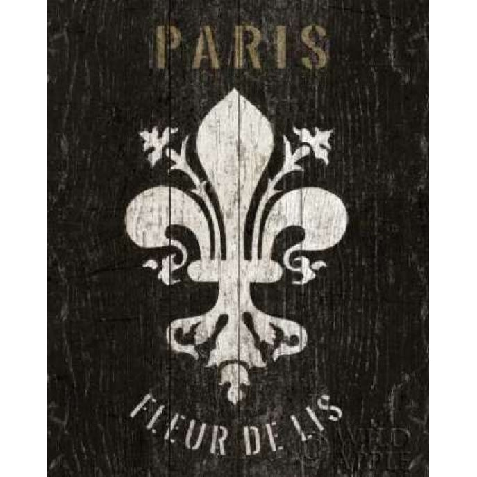 Refurbished Fleur de Lis Poster Print by Wild Apple Portfolio-VARPDX13532 Image 1