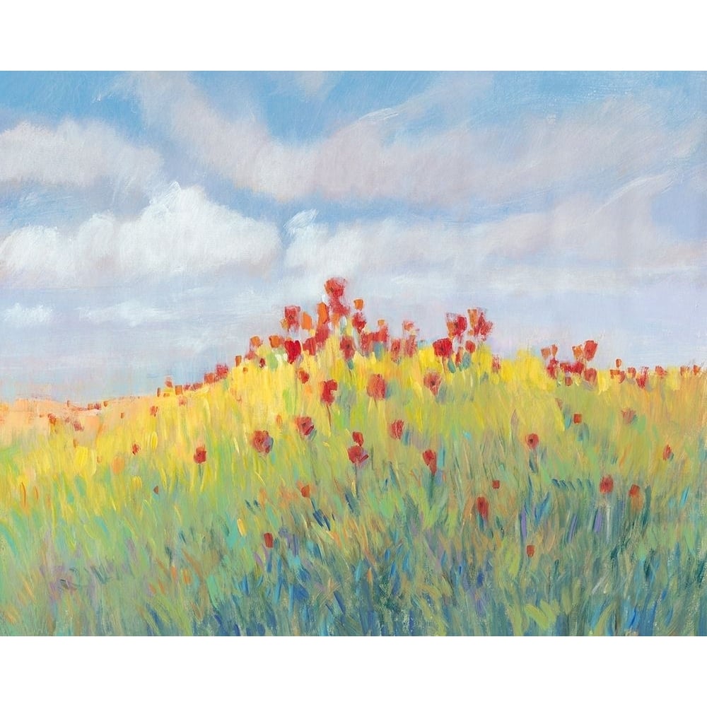 Summer Breeze Meadow II Poster Print - Tim OToole-VARPDX135418GG Image 1