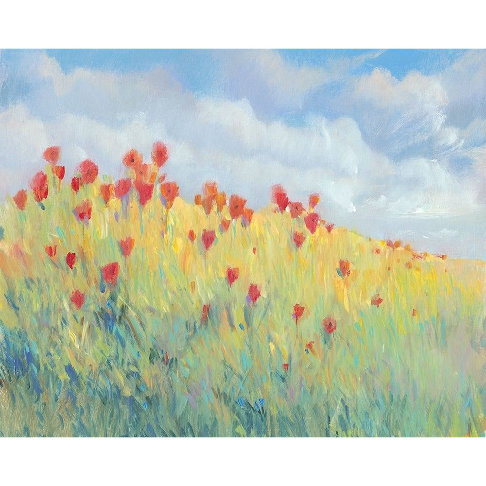 Summer Breeze Meadow I Poster Print - Tim OToole-VARPDX135417GG Image 1