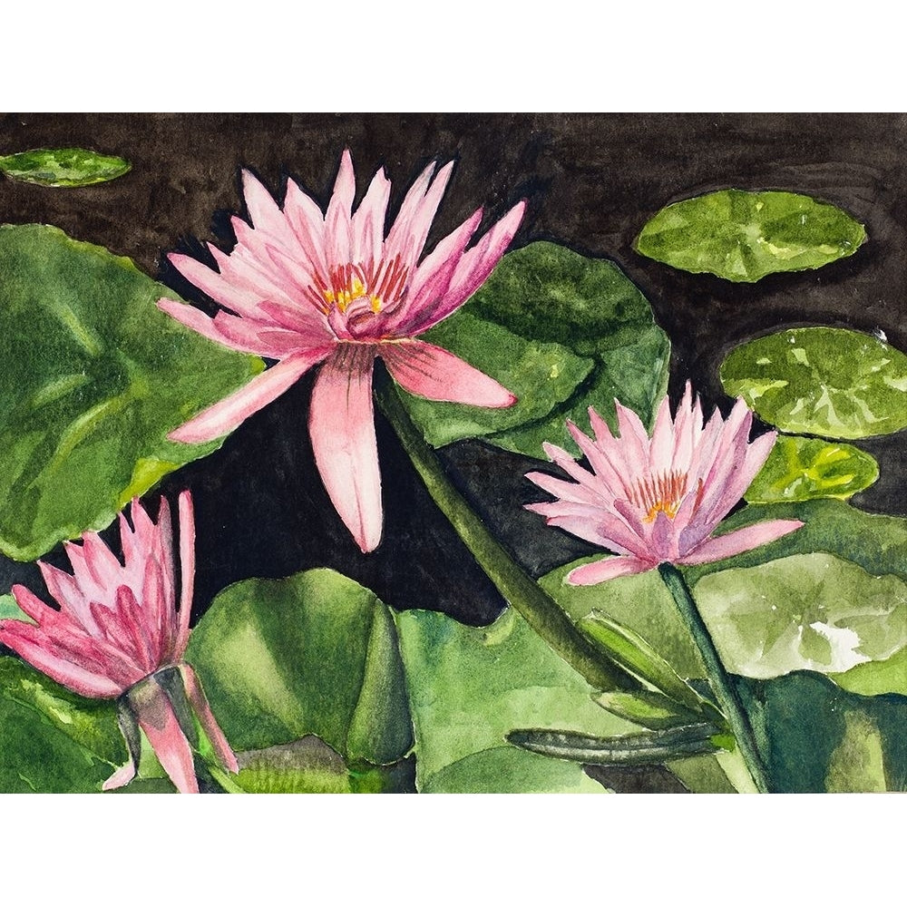 Water Lillies Poster Print by Jan Odum-VARPDX13549C Image 1