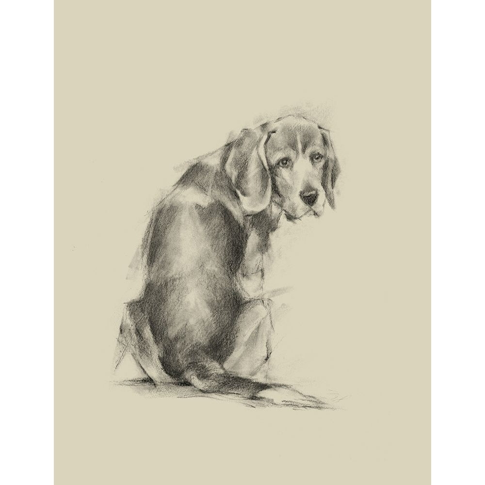 Puppy Dog Eyes I Poster Print - Ethan Harper-VARPDX135530Z Image 1