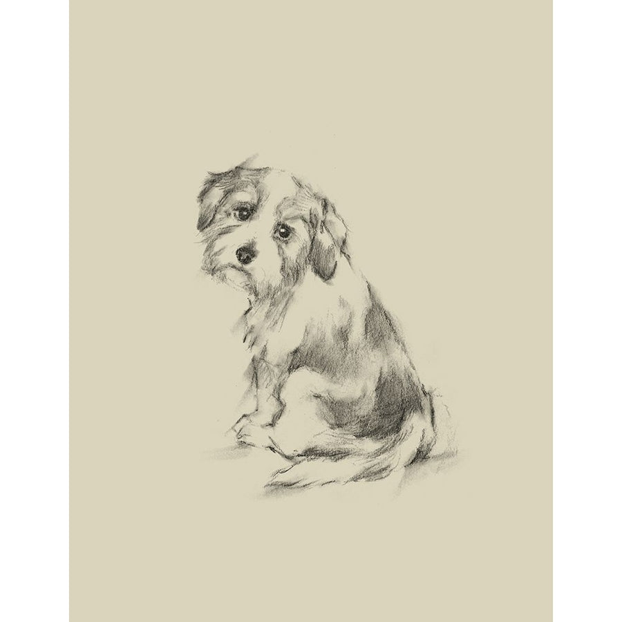 Puppy Dog Eyes III Poster Print - Ethan Harper-VARPDX135532Z Image 1