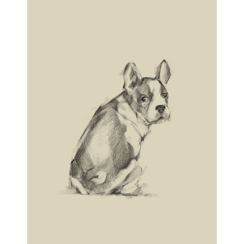 Puppy Dog Eyes IV Poster Print - Ethan Harper-VARPDX135533Z Image 1