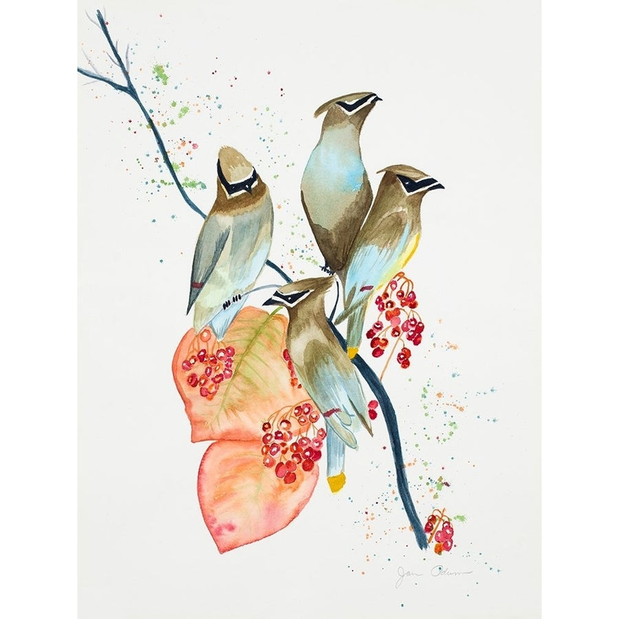 Birds on Branch Poster Print by Jan Odum-VARPDX13550B Image 1