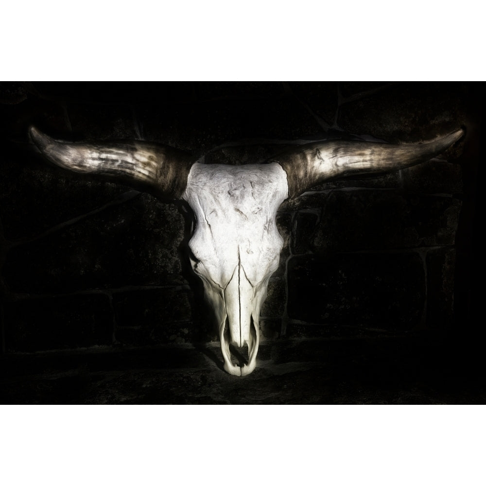 Cow Skull Poster Print - PHBurchett-VARPDX135566GG Image 1