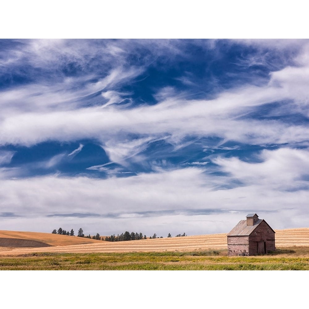 Farm and Field I Poster Print - PHBurchett-VARPDX135567GG Image 1