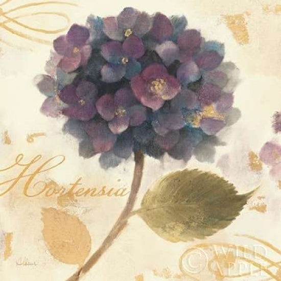 Abundant Hydrangea II Poster Print by Albena Hristova-VARPDX13557 Image 1