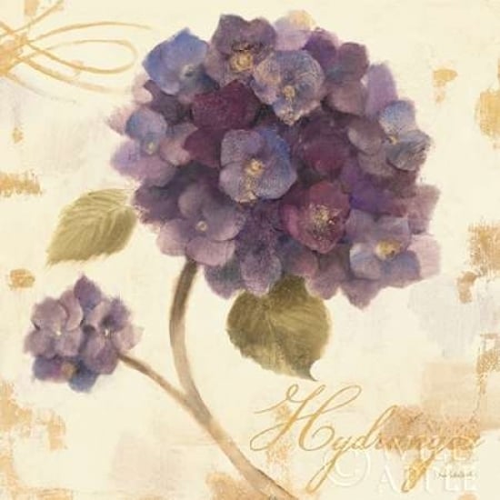 Abundant Hydrangea I Poster Print by Albena Hristova-VARPDX13556 Image 1