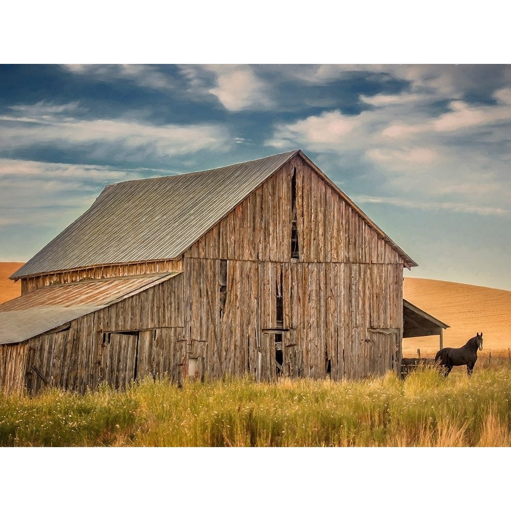 Farm and Field VI Poster Print - PHBurchett-VARPDX135572GG Image 1