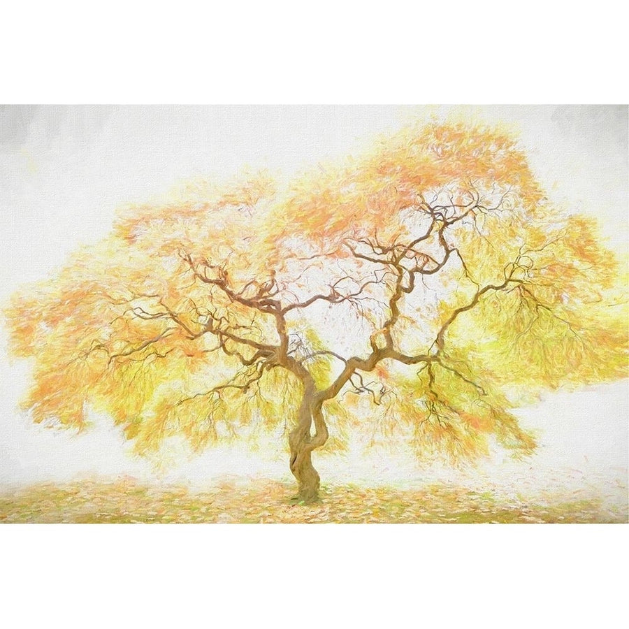 Golden Tree Poster Print - PHBurchett-VARPDX135690GG Image 1