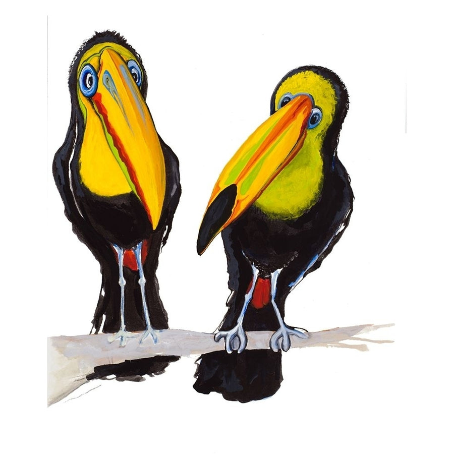 Two Toucans Poster Print by Diannart-VARPDX13587 Image 1