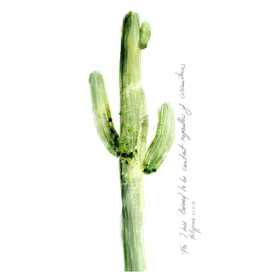 Cactus Verse V Poster Print - Ingrid Blixt-VARPDX135972GG Image 1