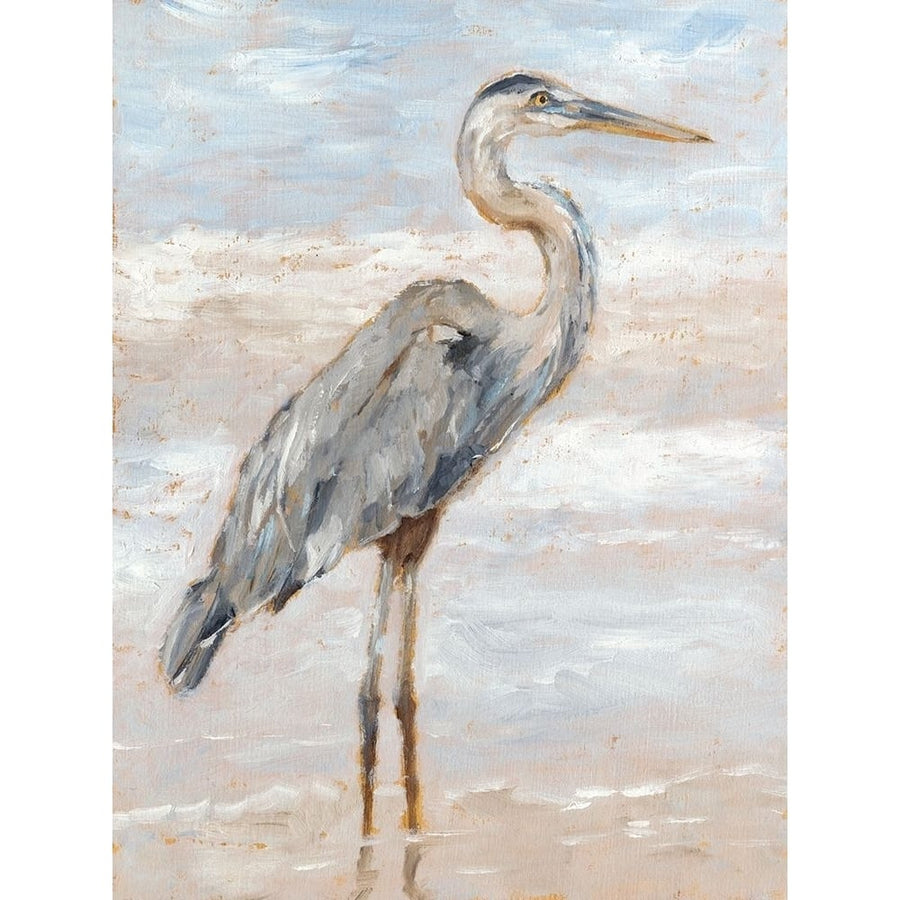 Beach Heron I Poster Print - Ethan Harper-VARPDX136047Z Image 1