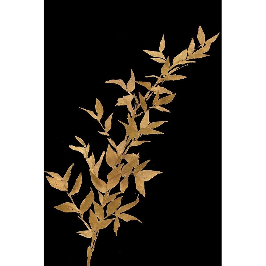 Golden Leaves on Black III Poster Print by Lanie Loreth-VARPDX13617GG Image 1