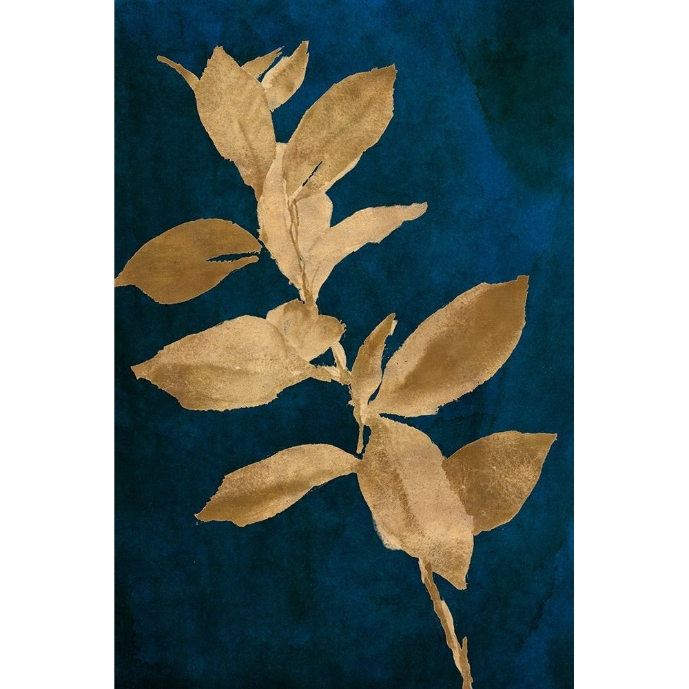 Gold Leaves on Navy IV Poster Print - Lanie Loreth-VARPDX13617FC Image 1