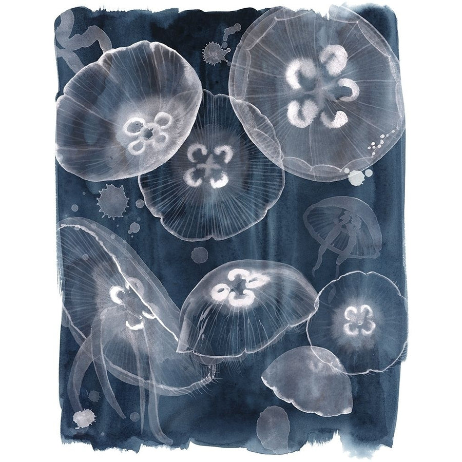 Moon Jellies II Poster Print - Grace Popp-VARPDX136266Z Image 1