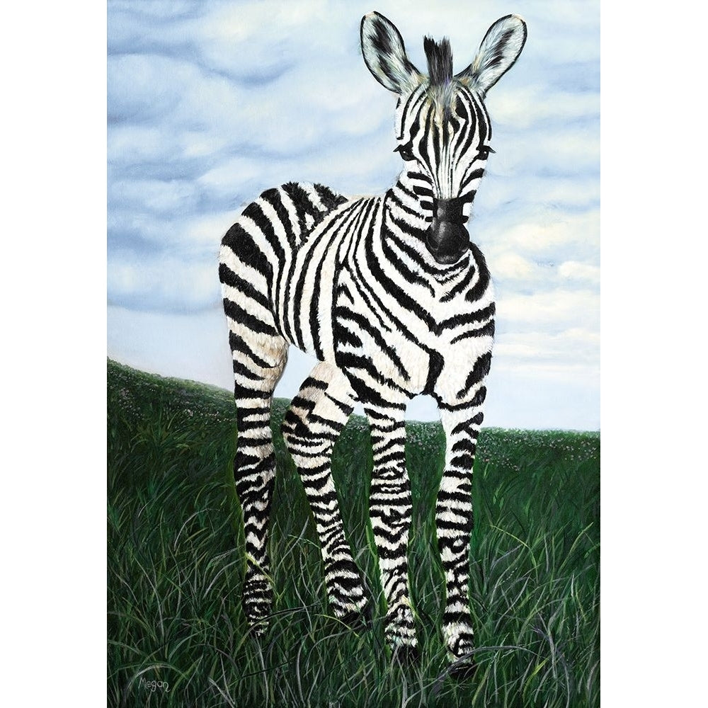 At Attention Zebra Poster Print by Megan Morris-VARPDX13640A Image 1