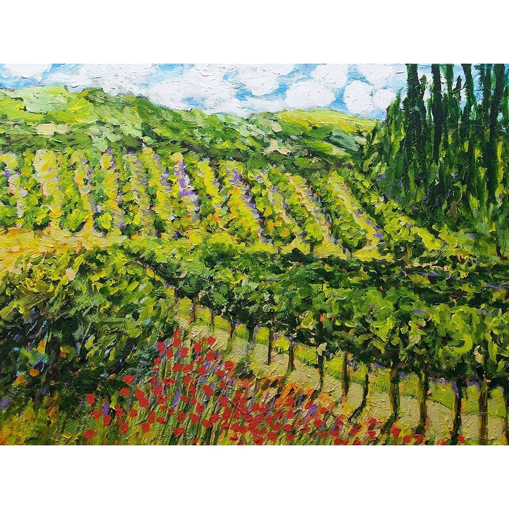 Mountain Vineyard Poster Print - Allan Friedlander-VARPDX136532FN Image 1