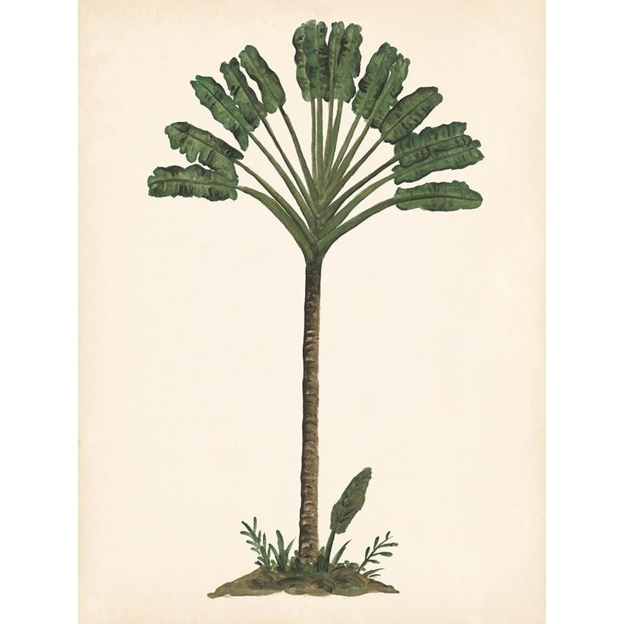 Palm Tree Study I Poster Print - Melissa Wang-VARPDX136595Z Image 1