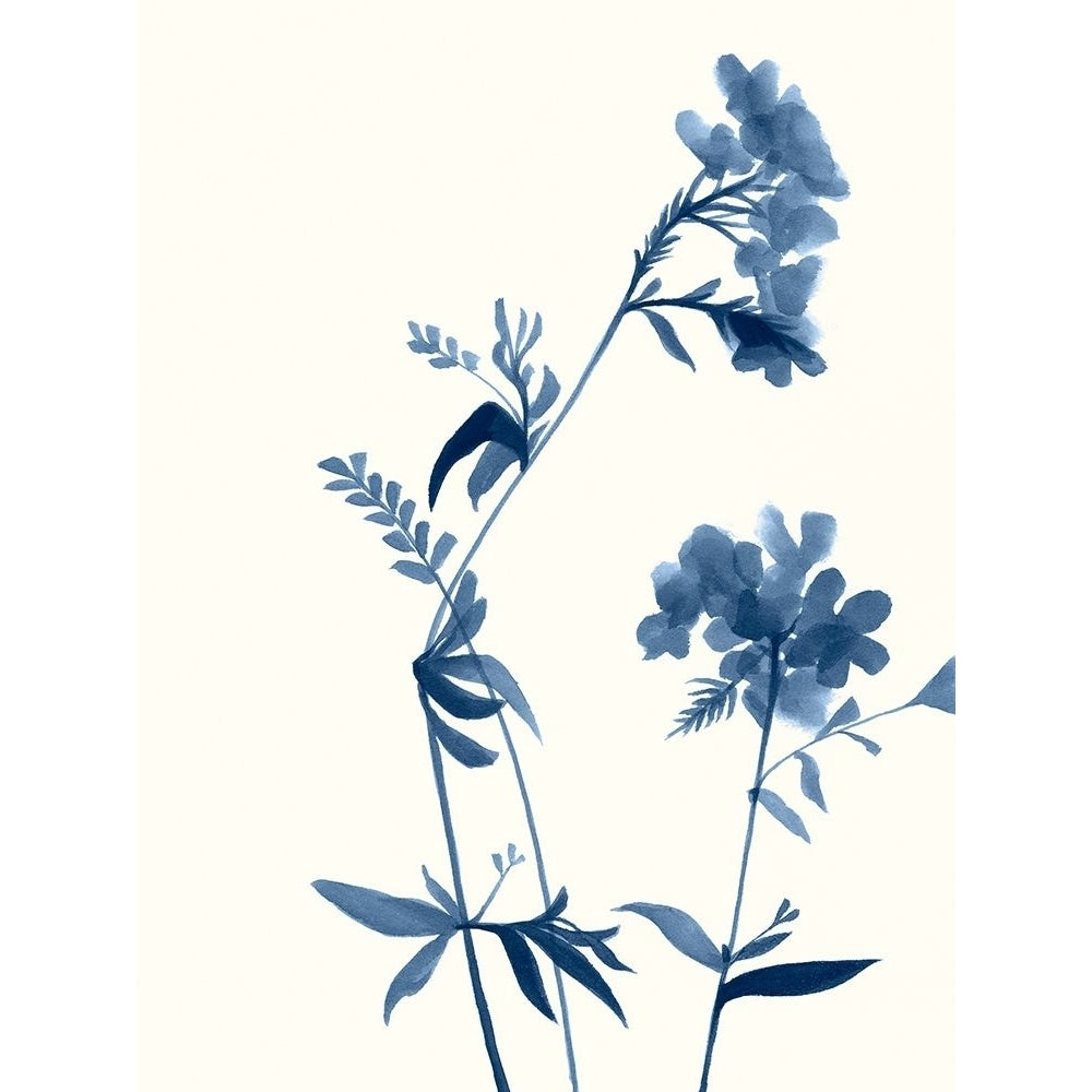 Indigo Wildflowers II Poster Print - Jennifer Goldberger-VARPDX136686Z Image 1